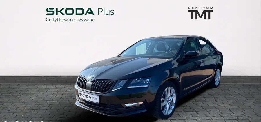 babimost Skoda Octavia cena 74900 przebieg: 81260, rok produkcji 2019 z Babimost